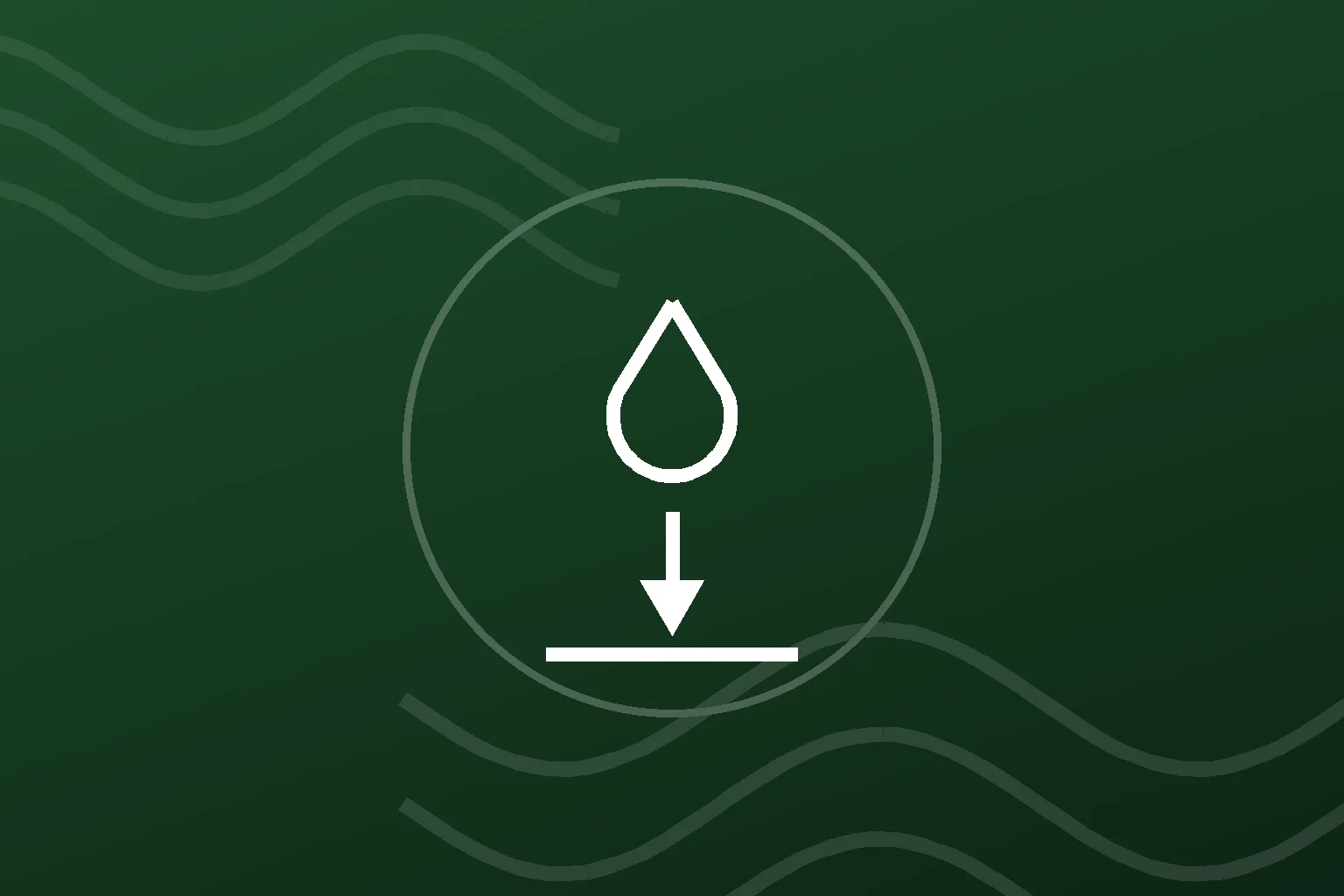 Water extraction and standing water removal in a Elko home